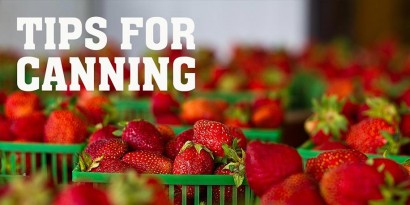 Tips for Canning