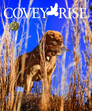 Covey Rise - Page 1