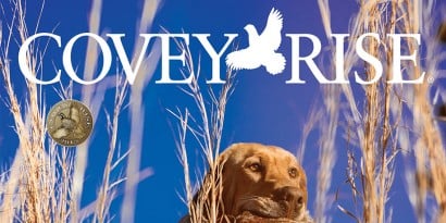 Covey Rise - Featured
