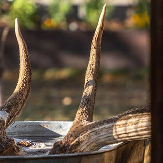 DIY European Mount