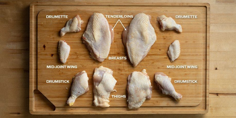 CHICKEN ANATOMY CHICKEN ANATOMY