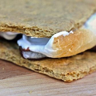 Thin Mint S'More Thin Mint S'More