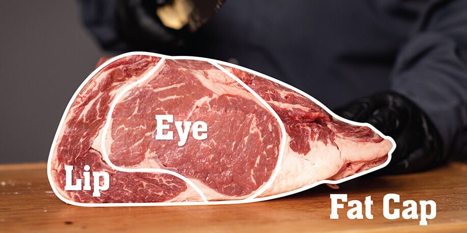 prime rib anatomy prime rib anatomy
