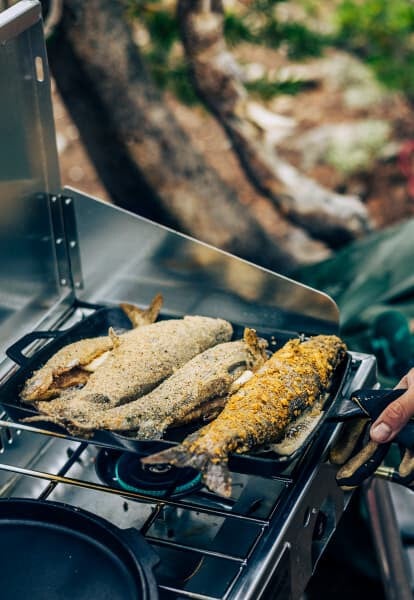 21 easy fish recipes
