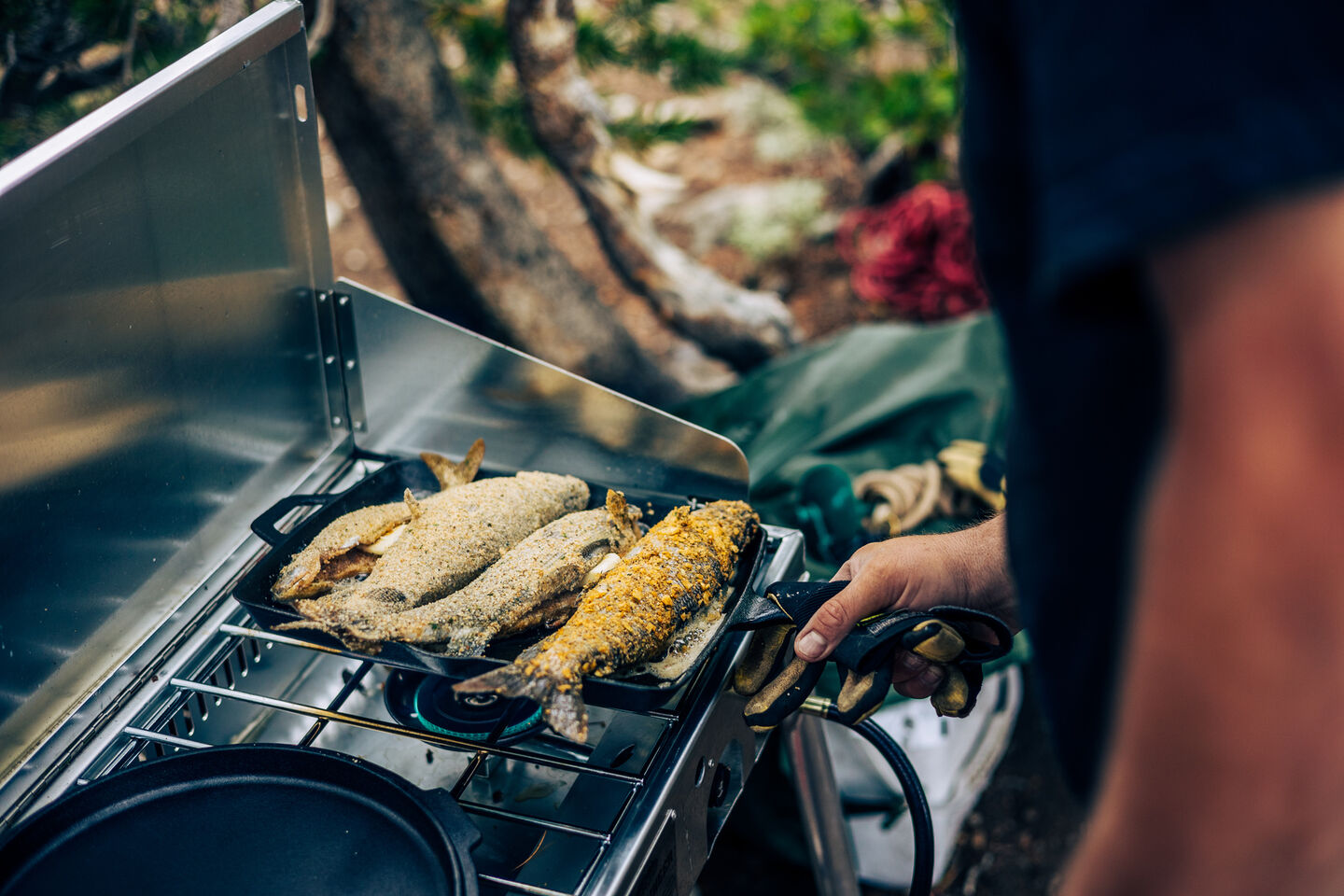 Fish cooking on a Camp Chef Mountaineer
