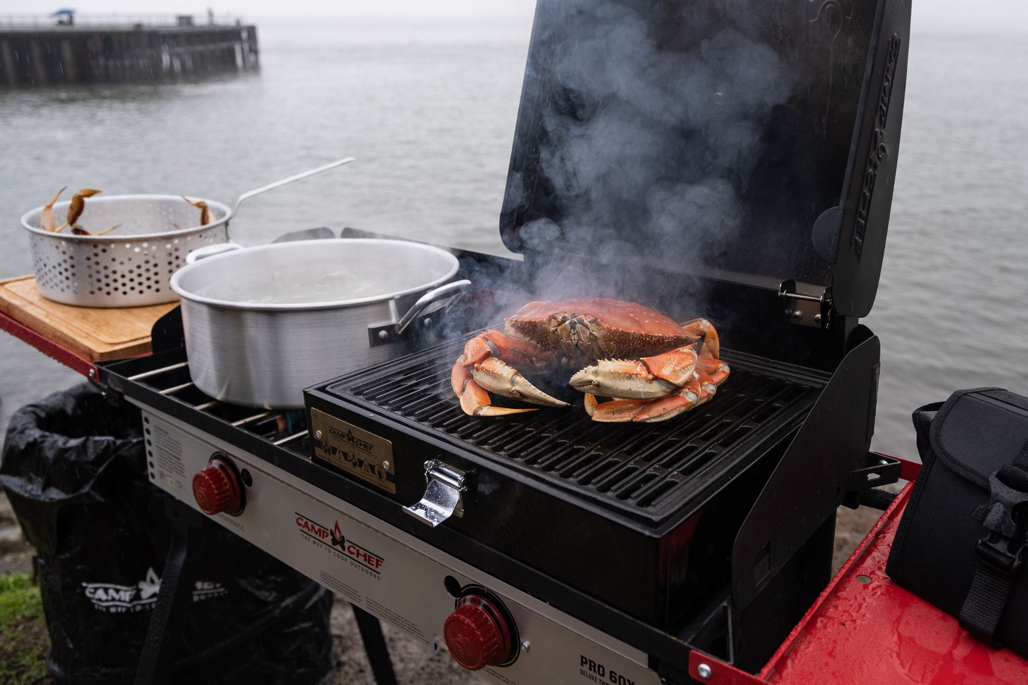 Camp chef discount bbq box