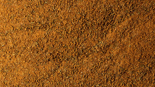 Sophisticajun Ingredients