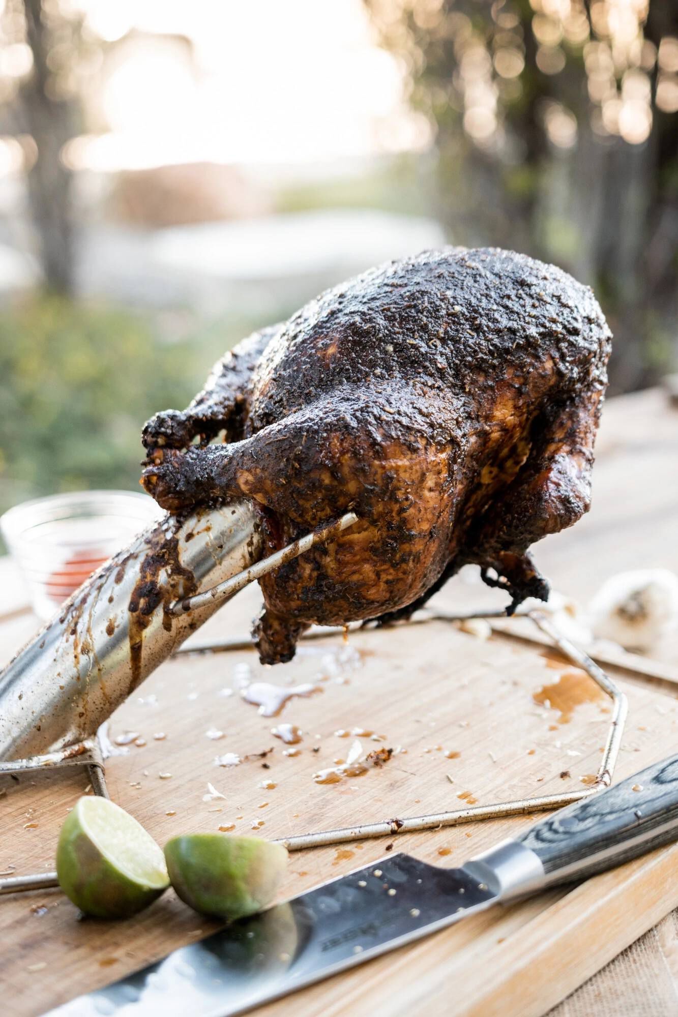 Details about   infusion roaster turkey cannon 