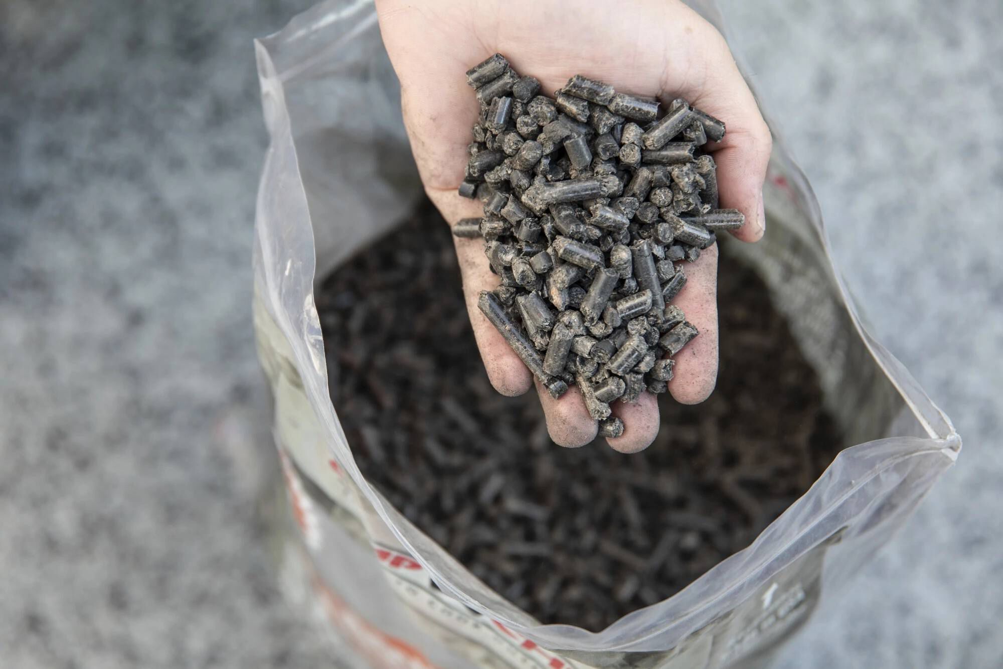 Camp chef pellets clearance