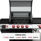Apex 24 With Gas Kit