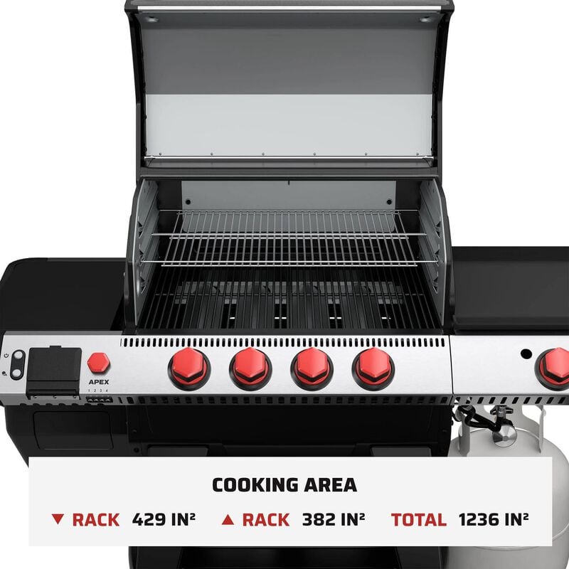 Apex 24 With Gas Kit