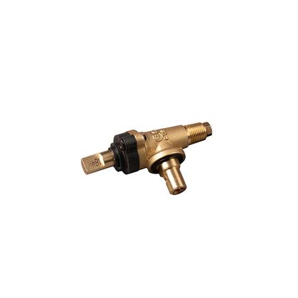 Low Pressure Natural Gas Valve