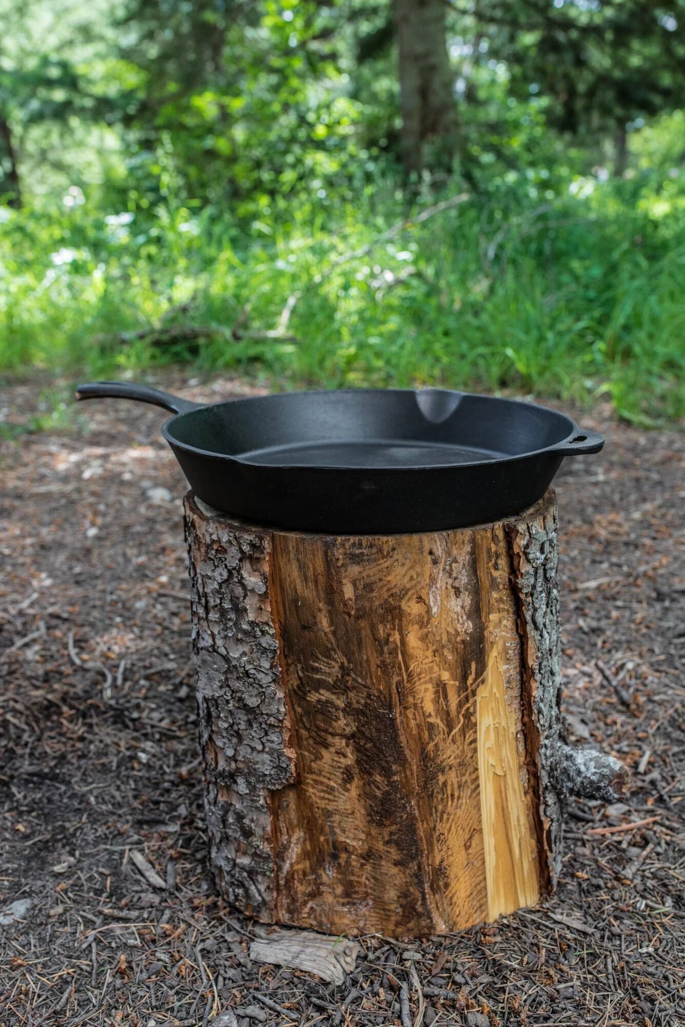 14 covered 2025 skillet