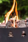 Sequoia Fire Pit