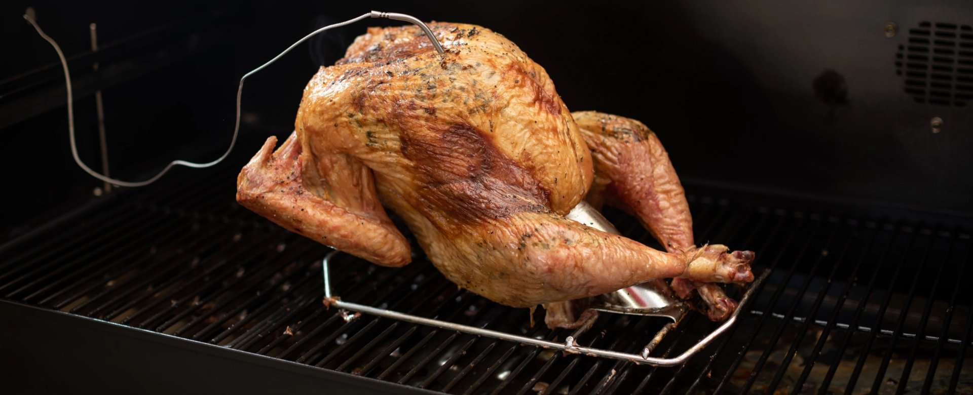 Details about   infusion roaster turkey cannon 
