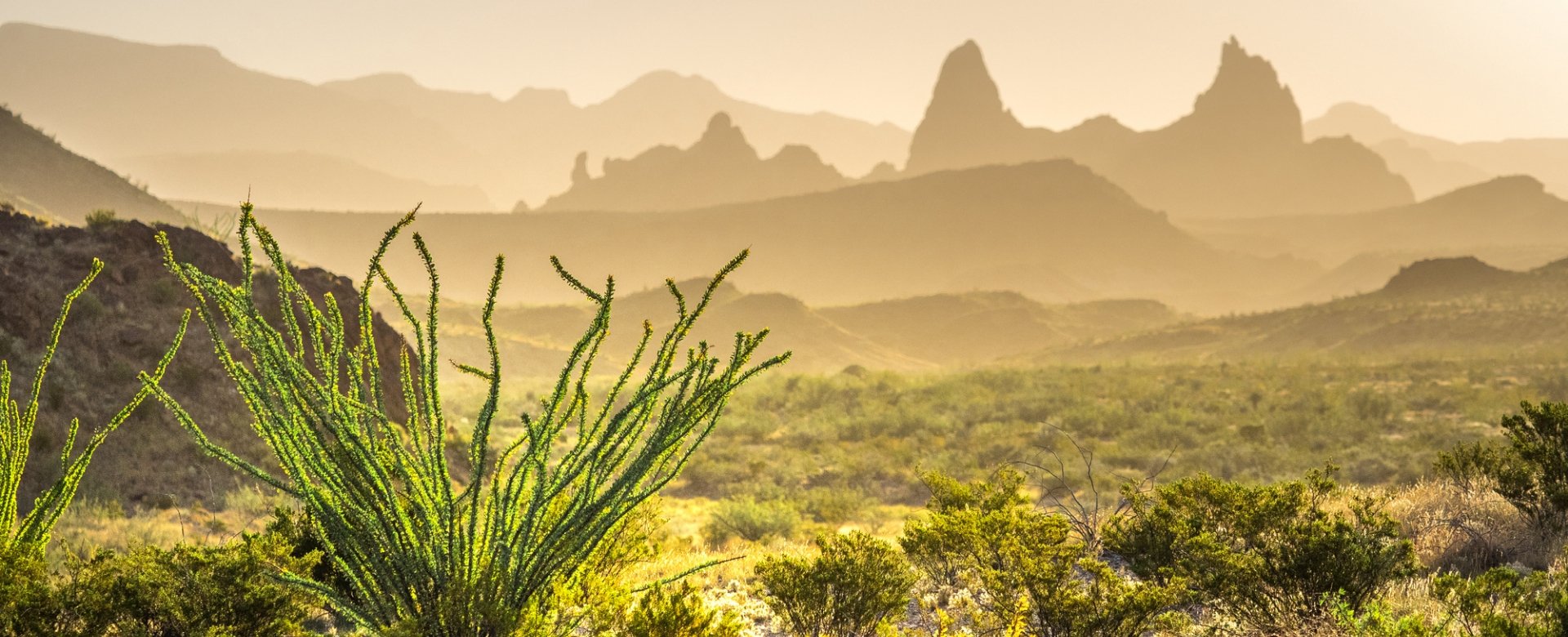 What Cook Gear Should I Pack for Big Bend National Park?